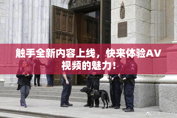 触手全新内容上线，快来体验AV视频的魅力！