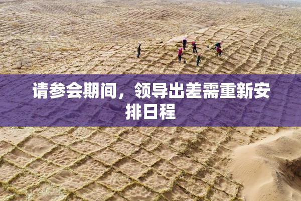 请参会期间，领导出差需重新安排日程
