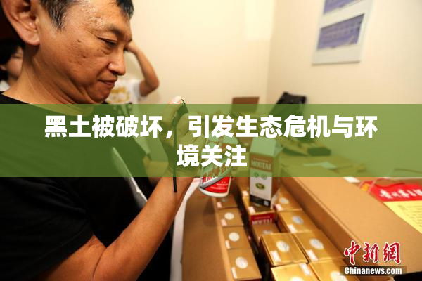 黑土被破坏，引发生态危机与环境关注