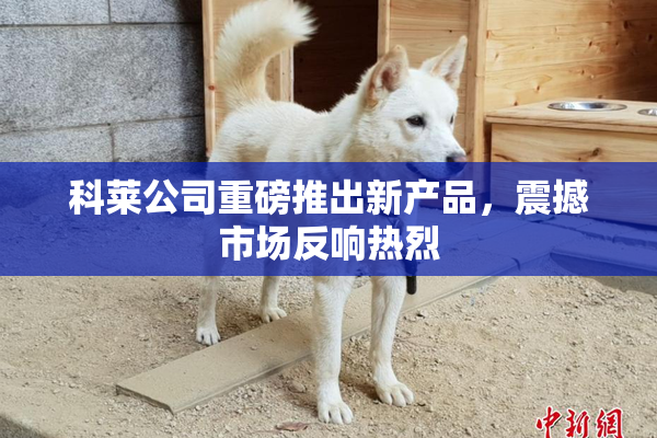 科莱公司重磅推出新产品，震撼市场反响热烈