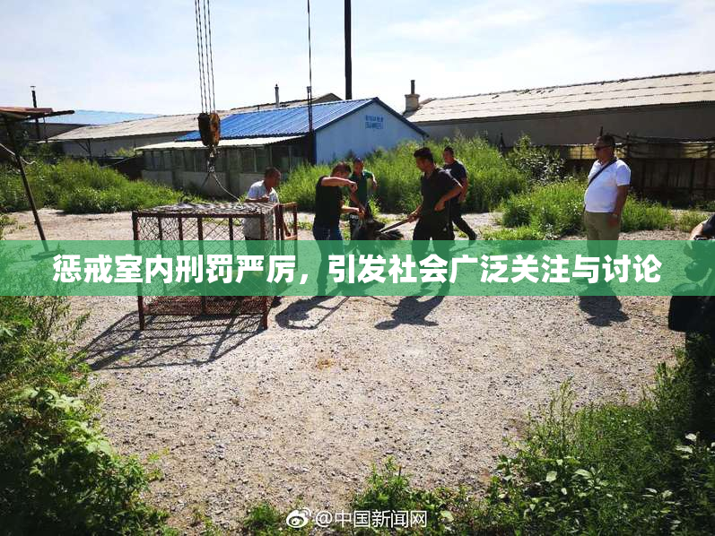 惩戒室内刑罚严厉，引发社会广泛关注与讨论