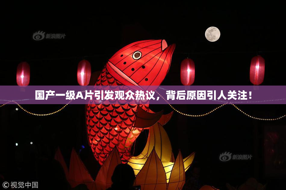 国产一级A片引发观众热议，背后原因引人关注！