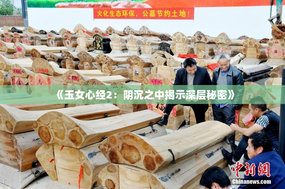 《玉女心经2：阴沉之中揭示深层秘密》