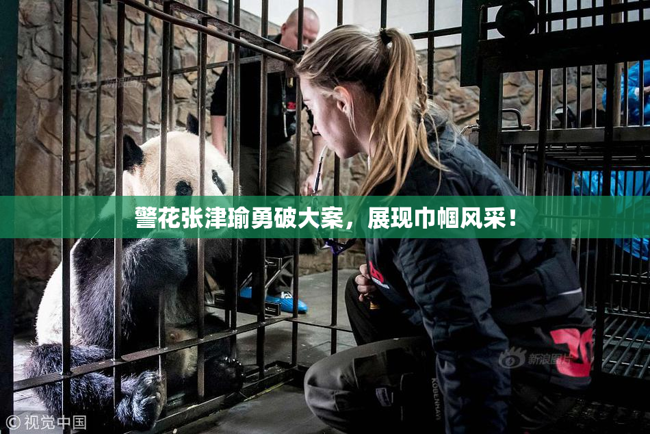 警花张津瑜勇破大案，展现巾帼风采！