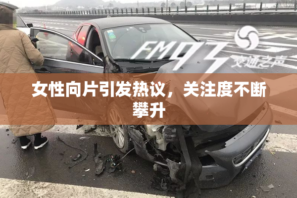 女性向片引发热议，关注度不断攀升