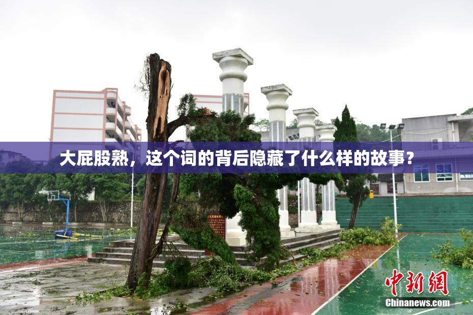 大屁股熟，这个词的背后隐藏了什么样的故事？