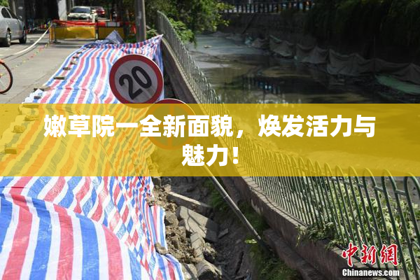 嫩草院一全新面貌，焕发活力与魅力！