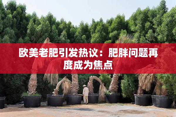欧美老肥引发热议：肥胖问题再度成为焦点