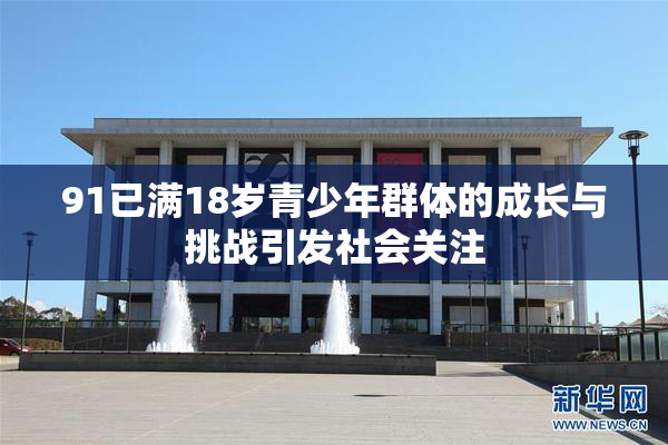 91已满18岁青少年群体的成长与挑战引发社会关注