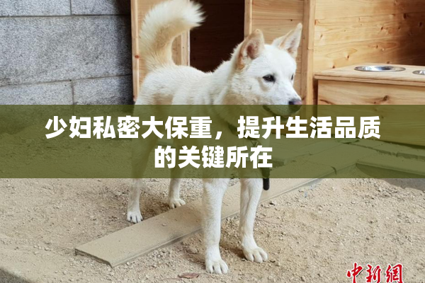 少妇私密大保重，提升生活品质的关键所在