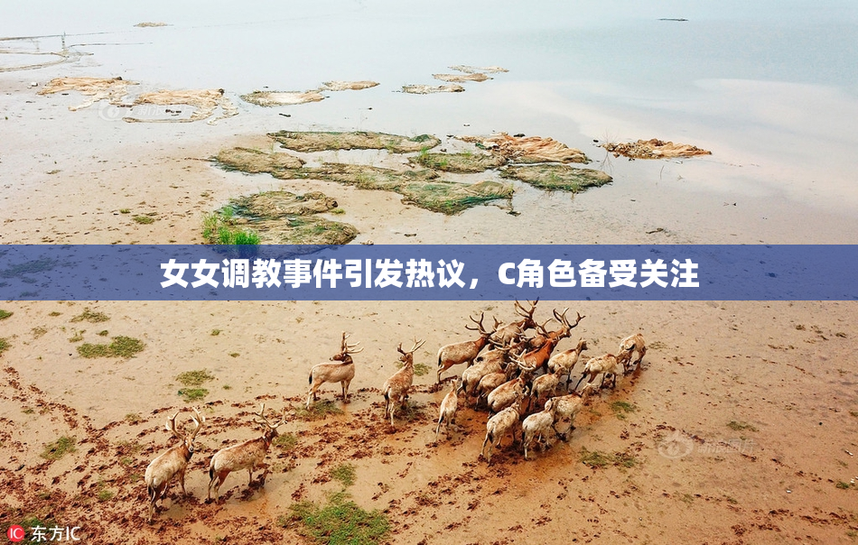 女女调教事件引发热议，C角色备受关注