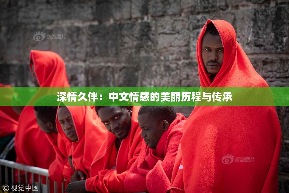 深情久伴：中文情感的美丽历程与传承
