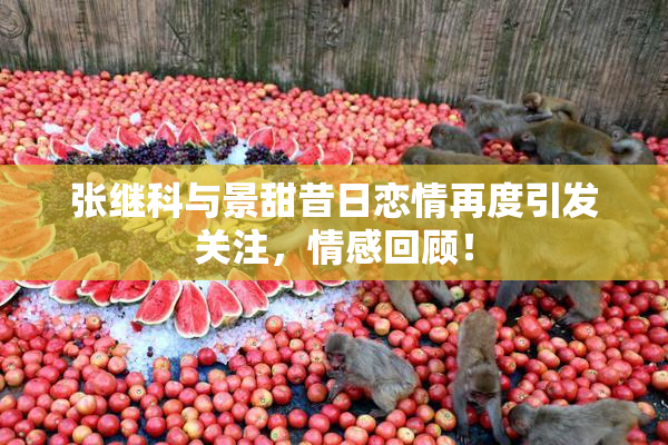张继科与景甜昔日恋情再度引发关注，情感回顾！