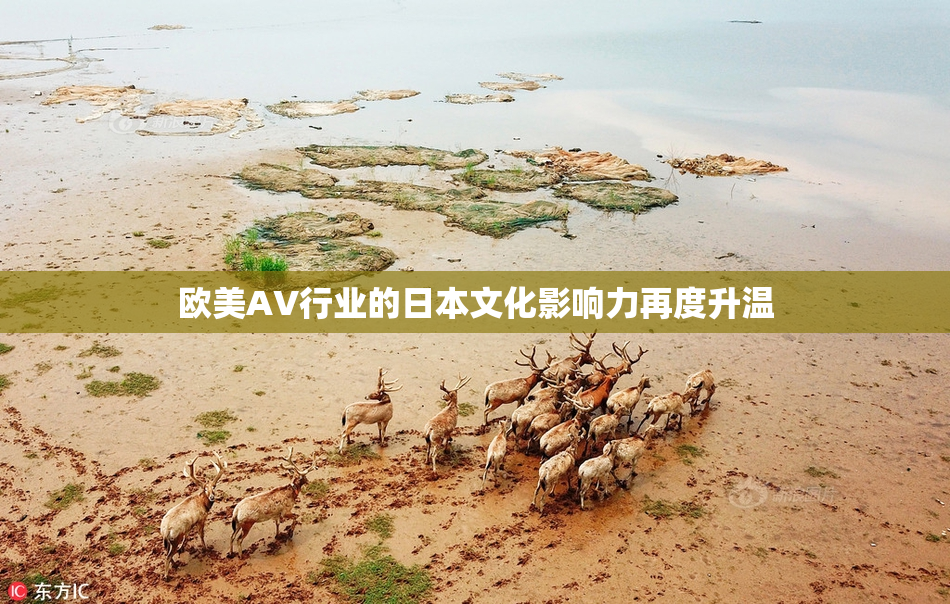 欧美AV行业的日本文化影响力再度升温