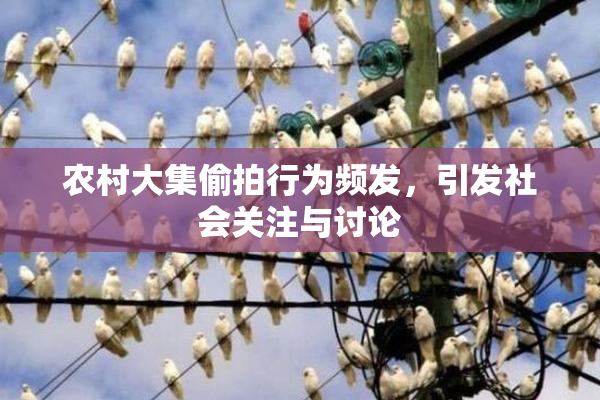 农村大集偷拍行为频发，引发社会关注与讨论