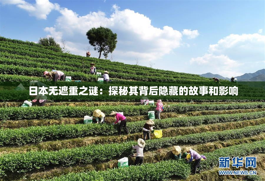 日本无遮重之谜：探秘其背后隐藏的故事和影响