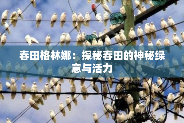春田格林娜：探秘春田的神秘绿意与活力