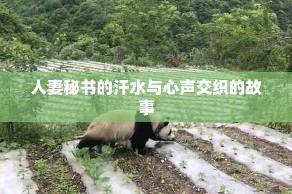 人妻秘书的汗水与心声交织的故事