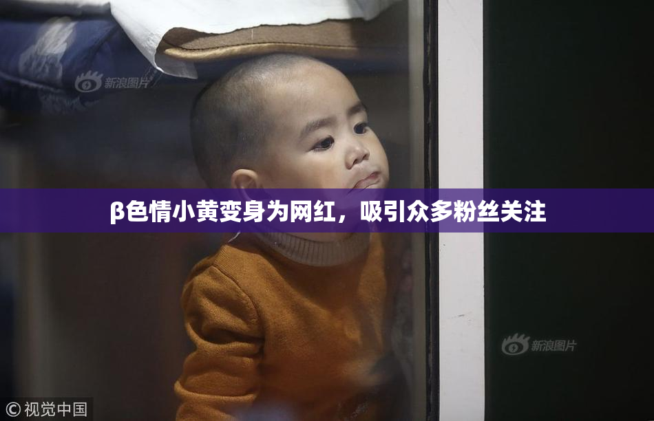 β色情小黄变身为网红，吸引众多粉丝关注