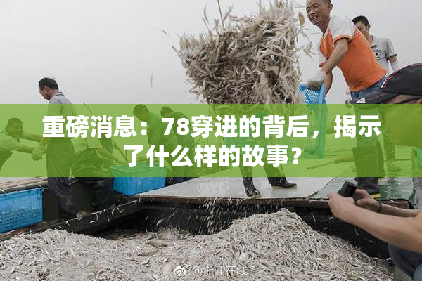 重磅消息：78穿进的背后，揭示了什么样的故事？
