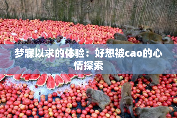 梦寐以求的体验：好想被cao的心情探索
