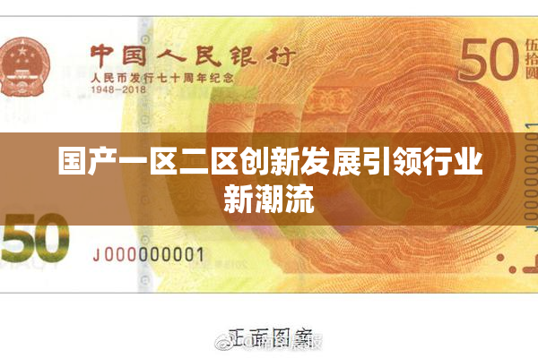 国产一区二区创新发展引领行业新潮流