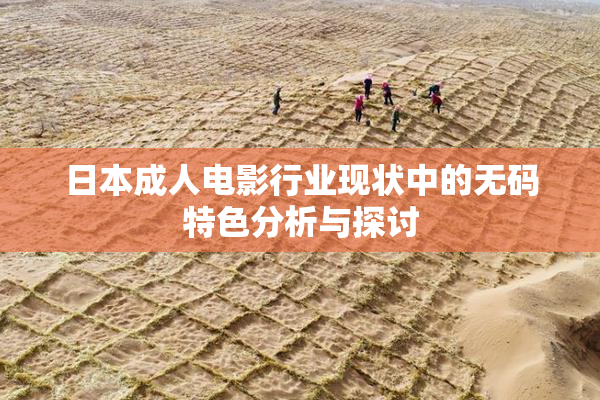 日本成人电影行业现状中的无码特色分析与探讨