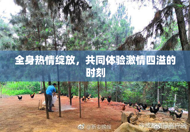 全身热情绽放，共同体验激情四溢的时刻