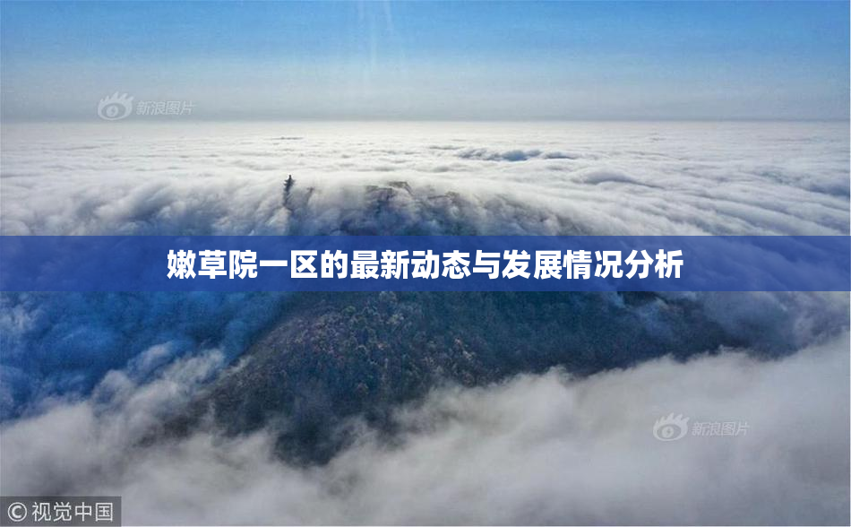 嫩草院一区的最新动态与发展情况分析