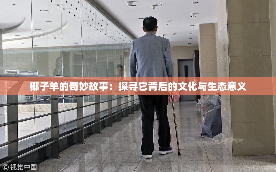 椰子羊的奇妙故事：探寻它背后的文化与生态意义