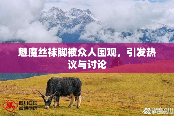魅魔丝袜脚被众人围观，引发热议与讨论