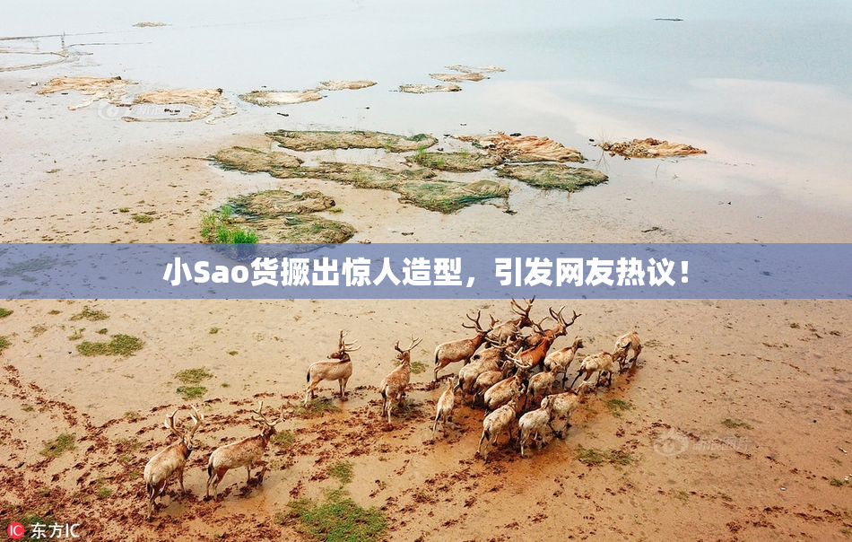 小Sao货撅出惊人造型，引发网友热议！