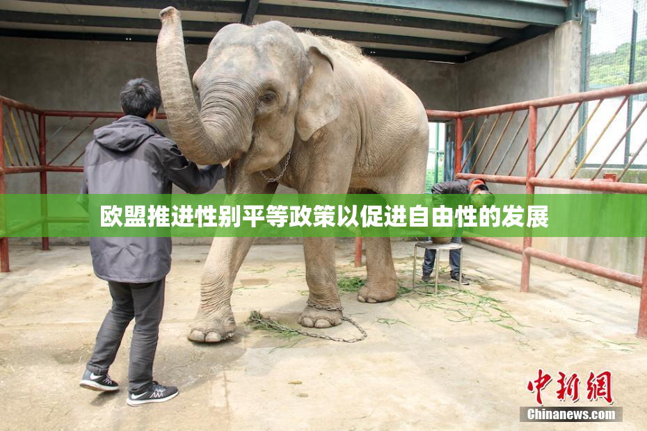 欧盟推进性别平等政策以促进自由性的发展