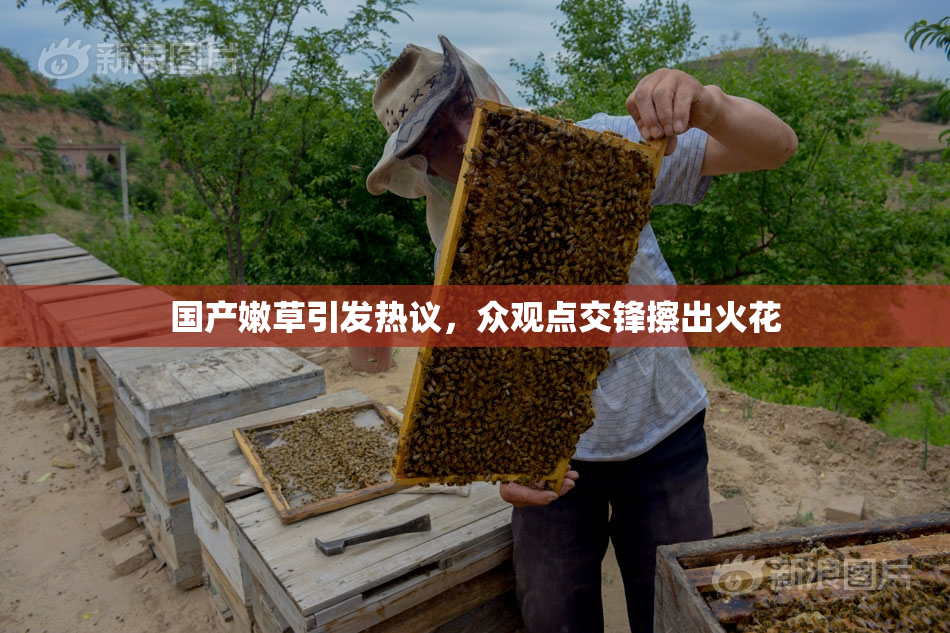 国产嫩草引发热议，众观点交锋擦出火花