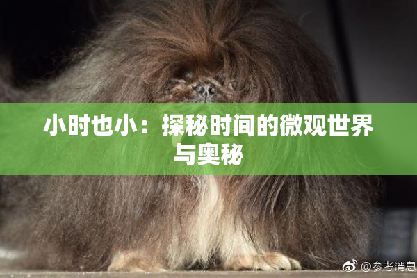 小时也小：探秘时间的微观世界与奥秘