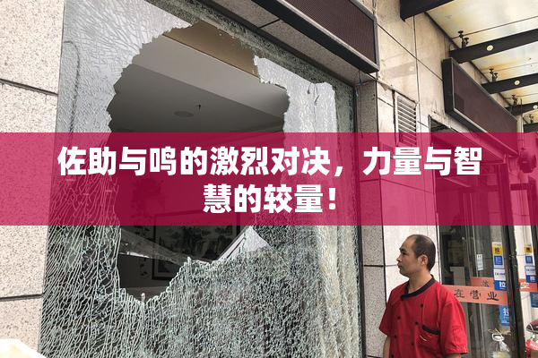 佐助与鸣的激烈对决，力量与智慧的较量！
