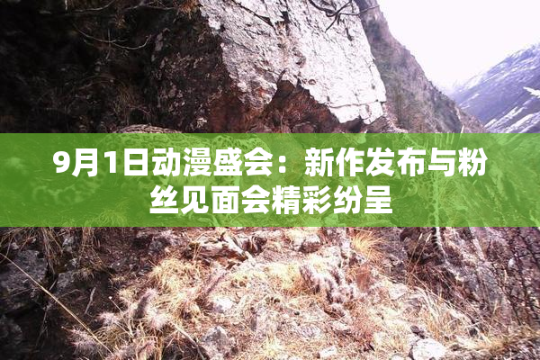 9月1日动漫盛会：新作发布与粉丝见面会精彩纷呈