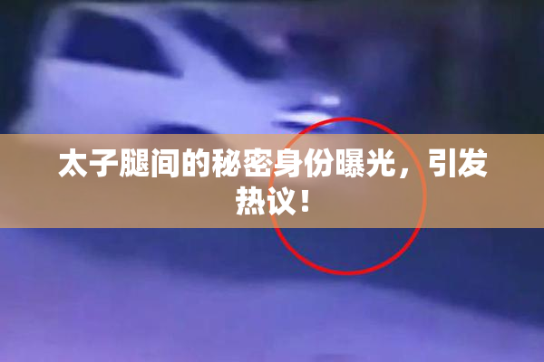 太子腿间的秘密身份曝光，引发热议！