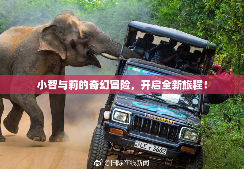 小智与莉的奇幻冒险，开启全新旅程！