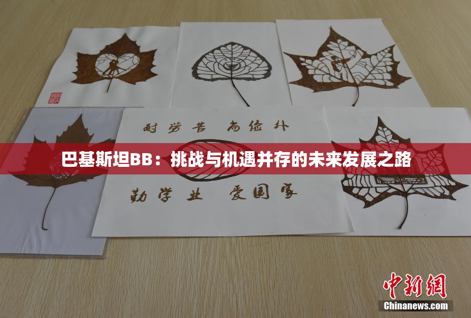 巴基斯坦BB：挑战与机遇并存的未来发展之路