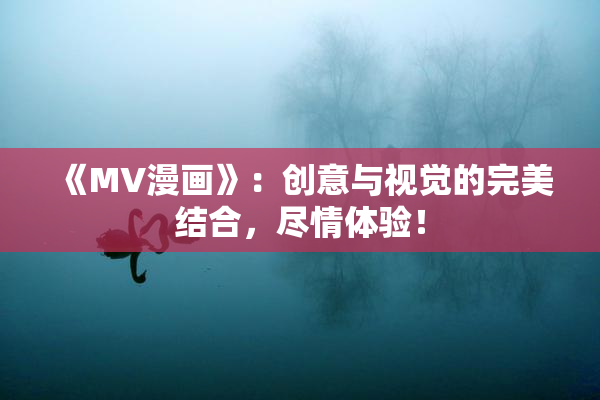 《MV漫画》：创意与视觉的完美结合，尽情体验！