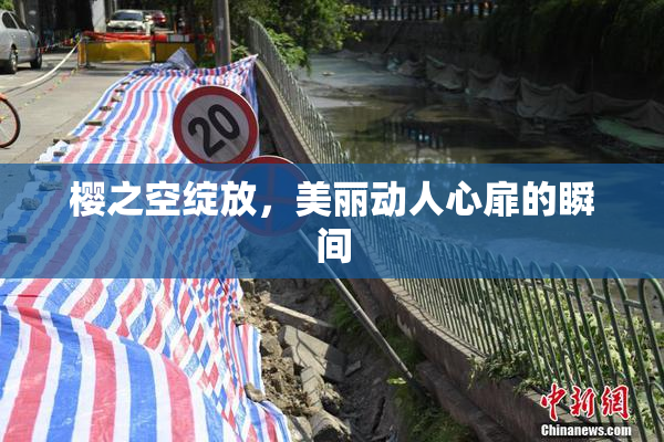 樱之空绽放，美丽动人心扉的瞬间