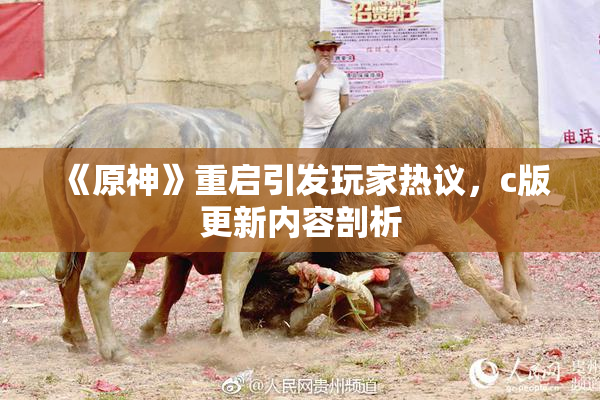 《原神》重启引发玩家热议，c版更新内容剖析