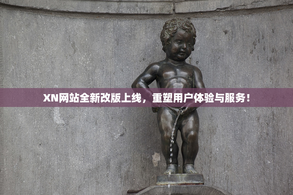 XN网站全新改版上线，重塑用户体验与服务！