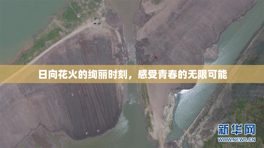 日向花火的绚丽时刻，感受青春的无限可能