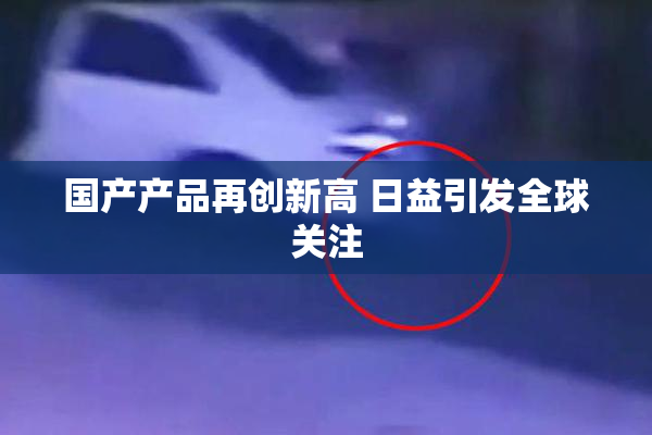 国产产品再创新高 日益引发全球关注