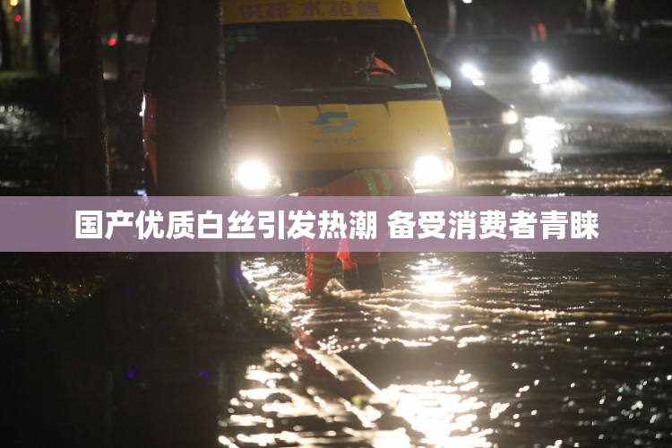 国产优质白丝引发热潮 备受消费者青睐