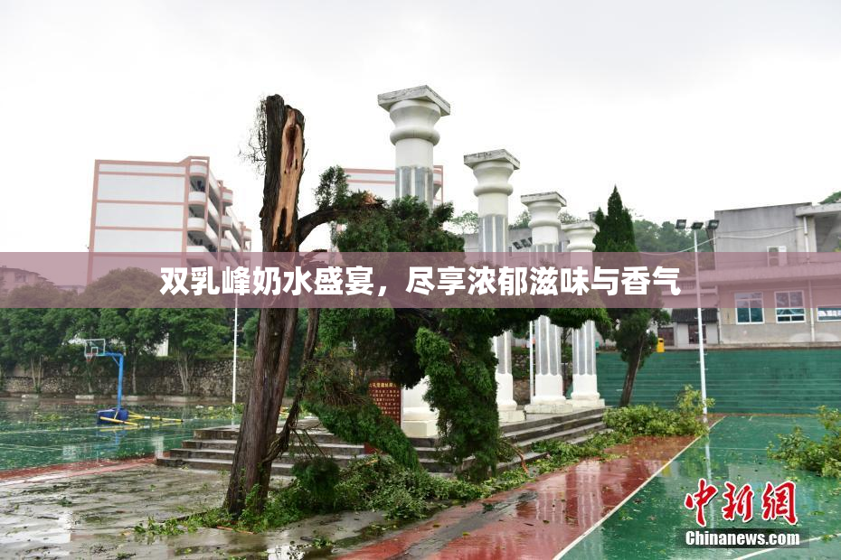 双乳峰奶水盛宴，尽享浓郁滋味与香气