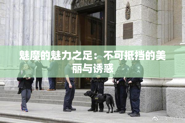 魅魔的魅力之足：不可抵挡的美丽与诱惑