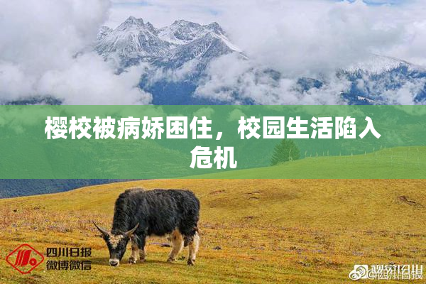 樱校被病娇困住，校园生活陷入危机